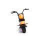 Vaikiškas Elektrinis Motociklas Chopper Warrior, Oranžinis
