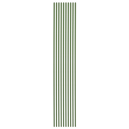 Pomidorų augalų stiebas 120 cm 10 vnt.