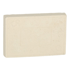 Archeologinis edukacinis kasinėjimo rinkinys vabzdžiai gintare