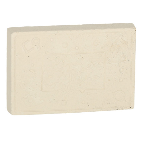 Archeologinis edukacinis kasinėjimo rinkinys vabzdžiai gintare