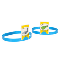 Kas aš esu? Šeimos stalo žaidimas anglų kalba