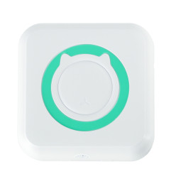 Mini terminis etikečių spausdintuvas + USB