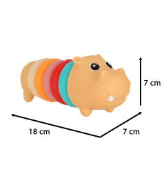 Hippo sensoriniai blokai - 7