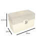 Vaistų konteineris organizatorius medicinos spintelė 34x19x22,5cm Vaistų konteineris organizatorius medicinos spintelė 34x19x22,5cm