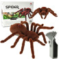 Nuotoliniu būdu valdomas TARANTULA voras + PILOTAS Nuotoliniu būdu valdomas TARANTULA voras + PILOTAS