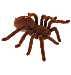 Nuotoliniu būdu valdomas TARANTULA voras + PILOTAS