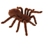 Nuotoliniu būdu valdomas TARANTULA voras + PILOTAS Nuotoliniu būdu valdomas TARANTULA voras + PILOTAS