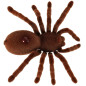 Nuotoliniu būdu valdomas TARANTULA voras + PILOTAS Nuotoliniu būdu valdomas TARANTULA voras + PILOTAS