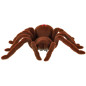 Nuotoliniu būdu valdomas TARANTULA voras + PILOTAS Nuotoliniu būdu valdomas TARANTULA voras + PILOTAS