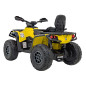 Vaikiškas Elektrinis Keturratis Can Am Outlander ATV su nuotolinio valdymo pultu, Geltonas Vaikiškas Elektrinis Keturratis Can Am Outlander ATV su nuotolinio valdymo pultu, Geltonas