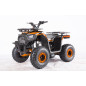 Benzininis keturratis 120cc DISCOVERER, Oranžinis