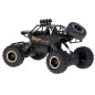 RC automobilis Rock Crawler 1:12 4WD METAL juodas RC automobilis Rock Crawler 1:12 4WD METAL juodas