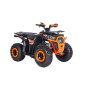Benzininis Keturratis PRO RIDER 200CC, Oranžinis Benzininis Keturratis PRO RIDER 200CC, Oranžinis