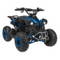 Benzininis keturratis RENEGADE HIPERFECT 110CC, Mėlynas Benzininis keturratis RENEGADE HIPERFECT 110CC, Mėlynas