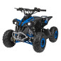 Benzininis keturratis RENEGADE HIPERFECT 110CC, Mėlynas Benzininis keturratis RENEGADE HIPERFECT 110CC, Mėlynas
