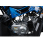 Benzininis keturratis RENEGADE HIPERFECT 110CC, Mėlynas Benzininis keturratis RENEGADE HIPERFECT 110CC, Mėlynas