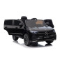 Transporto priemonė Mercedes Benz EQA 250 Black