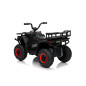 Keturratis keturratis "Robust 01 Black Keturratis keturratis "Robust 01 Black