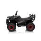 Keturratis keturratis "Robust 01 Black Keturratis keturratis "Robust 01 Black