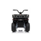 Keturratis keturratis "Robust 01 Black Keturratis keturratis "Robust 01 Black