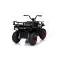 Keturratis keturratis "Robust 01 Black Keturratis keturratis "Robust 01 Black