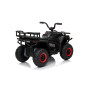 Keturratis keturratis "Robust 01 Black Keturratis keturratis "Robust 01 Black
