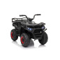 Keturratis keturratis "Robust 01 Black Keturratis keturratis "Robust 01 Black