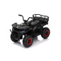 Keturratis keturratis "Robust 01 Black Keturratis keturratis "Robust 01 Black