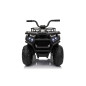 Keturratis keturratis "Robust 01 Black Keturratis keturratis "Robust 01 Black