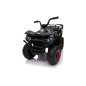 Keturratis keturratis "Robust 01 Black Keturratis keturratis "Robust 01 Black