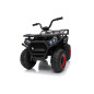 Keturratis keturratis "Robust 01 Black Keturratis keturratis "Robust 01 Black