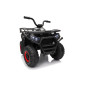 Keturratis keturratis "Robust 01 Black Keturratis keturratis "Robust 01 Black