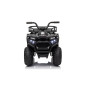 Keturratis keturratis "Robust 01 Black Keturratis keturratis "Robust 01 Black