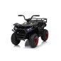 Keturratis keturratis "Robust 01 Black Keturratis keturratis "Robust 01 Black