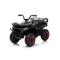 Keturratis keturratis "Robust 01 Black Keturratis keturratis "Robust 01 Black