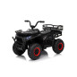 Keturratis keturratis "Robust 01 Black Keturratis keturratis "Robust 01 Black