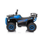 Keturratis keturratis "Robust 01 Blue Keturratis keturratis "Robust 01 Blue