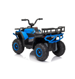 Keturratis keturratis "Robust 01 Blue