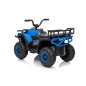 Keturratis keturratis "Robust 01 Blue Keturratis keturratis "Robust 01 Blue