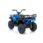 Keturratis keturratis "Robust 01 Blue Keturratis keturratis "Robust 01 Blue