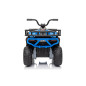 Keturratis keturratis "Robust 01 Blue Keturratis keturratis "Robust 01 Blue