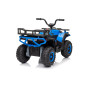 Keturratis keturratis "Robust 01 Blue Keturratis keturratis "Robust 01 Blue