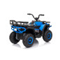 Keturratis keturratis "Robust 01 Blue Keturratis keturratis "Robust 01 Blue