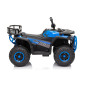 Keturratis keturratis "Robust 01 Blue Keturratis keturratis "Robust 01 Blue