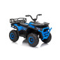 Keturratis keturratis "Robust 01 Blue Keturratis keturratis "Robust 01 Blue