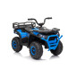Keturratis keturratis "Robust 01 Blue Keturratis keturratis "Robust 01 Blue
