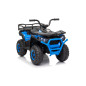 Keturratis keturratis "Robust 01 Blue Keturratis keturratis "Robust 01 Blue