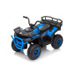 Keturratis keturratis "Robust 01 Blue Keturratis keturratis "Robust 01 Blue
