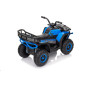 Keturratis keturratis "Robust 01 Blue Keturratis keturratis "Robust 01 Blue