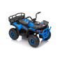Keturratis keturratis "Robust 01 Blue Keturratis keturratis "Robust 01 Blue